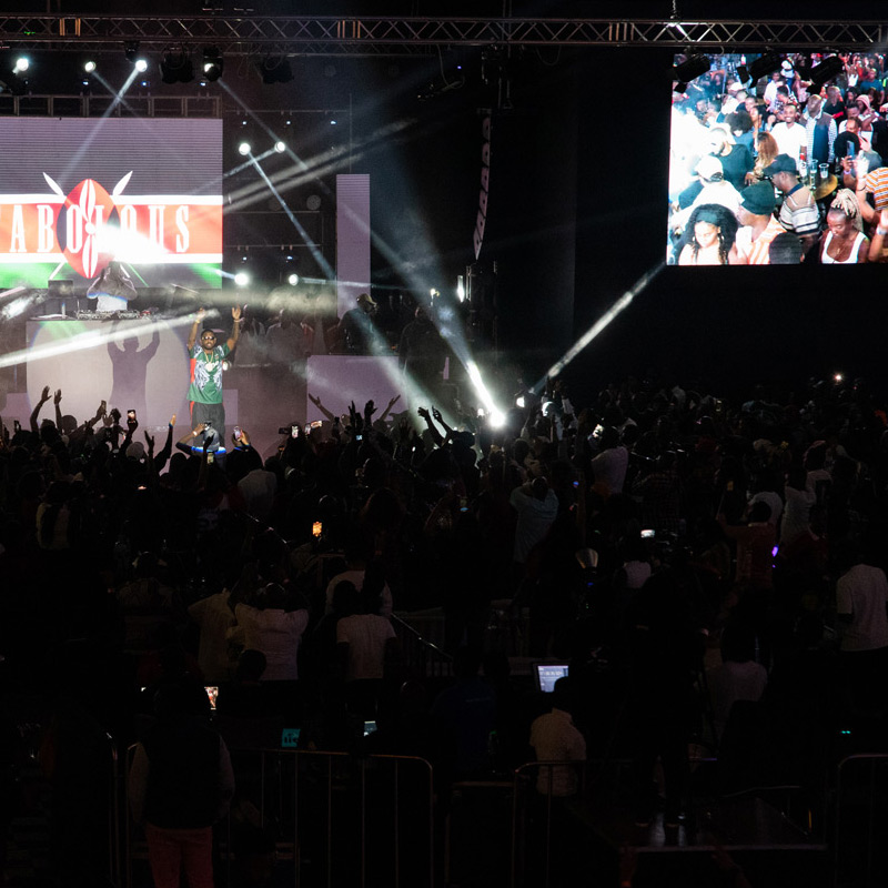 Skate-City-Nairobi-Concert-fab-crowd-huge-screen